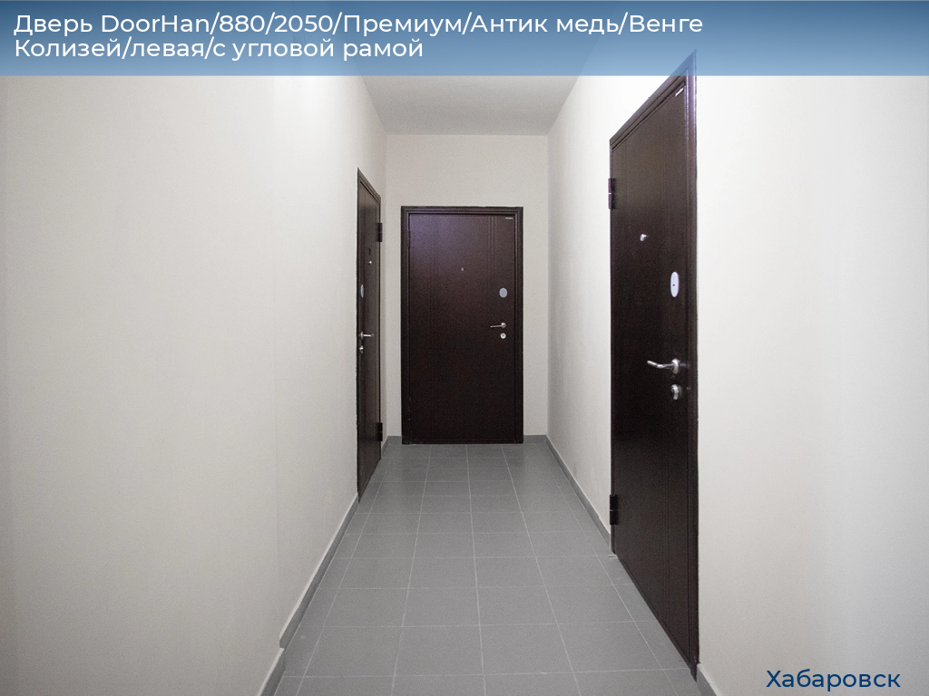 Дверь DoorHan/880/2050/Премиум/Антик медь/Венге Колизей/левая/с угловой рамой, khabarovsk.doorhan.ru