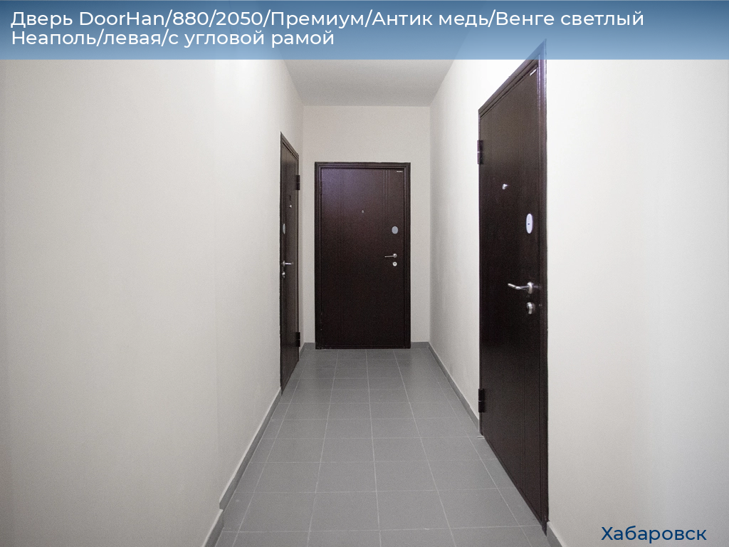 Дверь DoorHan/880/2050/Премиум/Антик медь/Венге светлый Неаполь/левая/с угловой рамой, khabarovsk.doorhan.ru