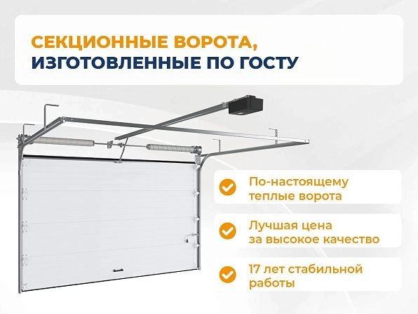Секционные ворота 2600х2400 мм коричнево-красные DoorHan RSD02, khabarovsk.doorhan.ru